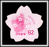 Cherry Blossoms