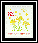 Field Mustard