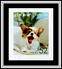 Papillon
