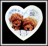 Toy Poodle