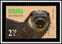 Eurasian Otter (Lutra lutra)