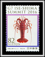 Japanese Spiny Lobster