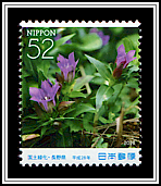 Prairie Gentian