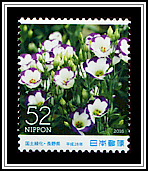 Japanese Autumn Gentian