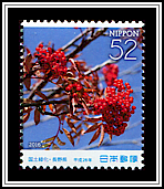 Japanese Rowan