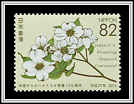White Flowering Dogwood