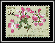Red Flowering Dogwood