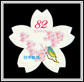 Cherry Blossoms