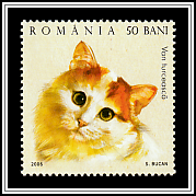 Turkish Van