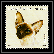 Siamese