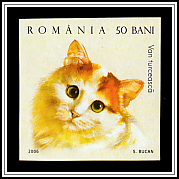 Turkish Van