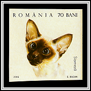 Siamese