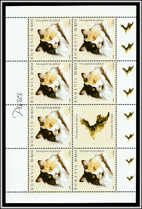Norwegian Forest (MS Type I)