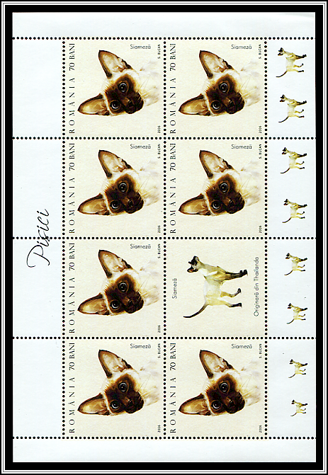Siamese (MS Type I)