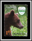 Brown Bear