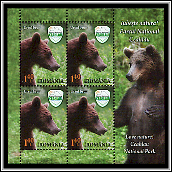 Brown Bear (Ursus arctos)