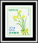 Freesia