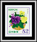 Pansy