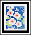 Hollyhocks