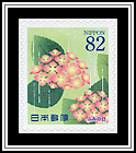 Hydrangeas