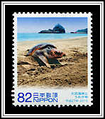 Sea Turtle