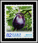 Senshu Eggplant