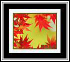 Maple Leaves