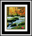 Woodland Brook