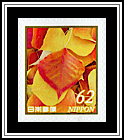 Autumn Leaves