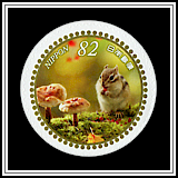 Mushrooms & Chipmunk
