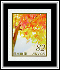 Maple Tree