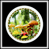 Mushrooms