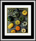 Gourds