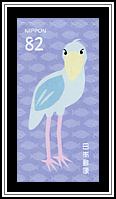 Shoebill