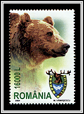 Brown Bear