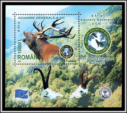 Red Deer