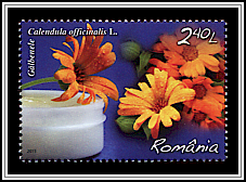 Marigold