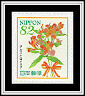 Peruvian Lilies