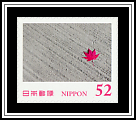 Fallen Leaf in Shisen-dō Garden