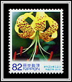 Golden Tiger Lily