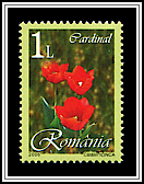 Cardinal