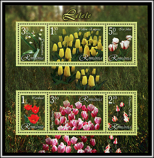 Souvenir Sheet