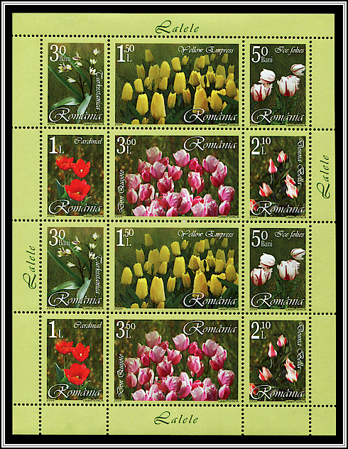 Miniature Sheet Type Ib