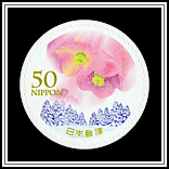 Christmas Rose