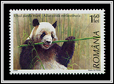 Great Panda