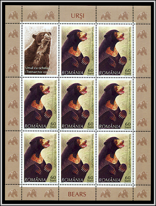Sun Bear (Helarctos malayanus)