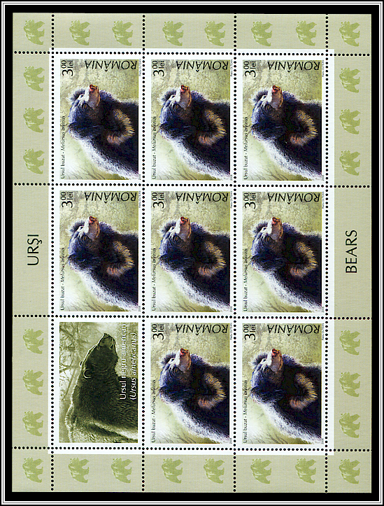 Sloth Bear (Melursus ursinus)