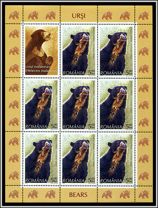 Spectacled Bear (Tremarctos ornatus)