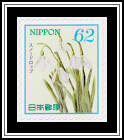 Snowdrop