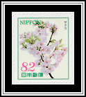 Cherry Blossom
